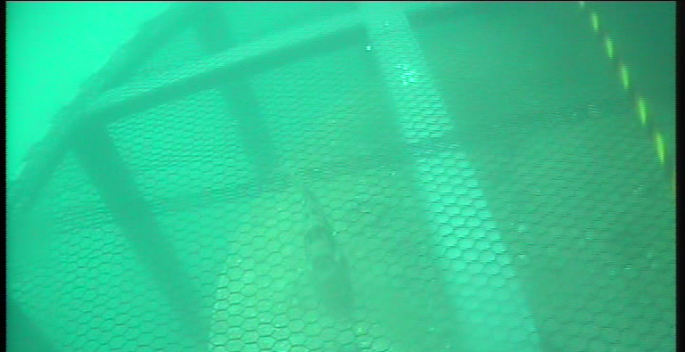 SEA WATER INTAKE FOR BOROUGE 3 PROJECT