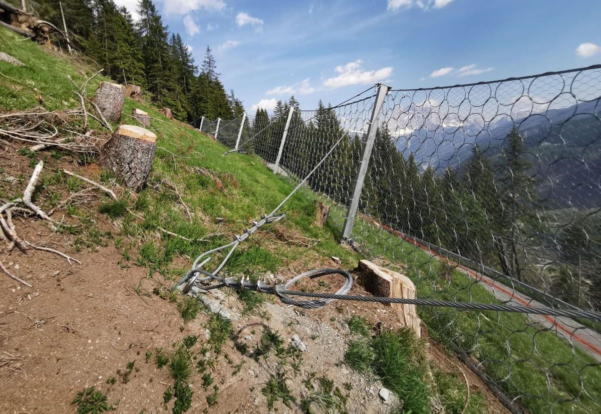 Natural Hazard Mitigation on the Alps