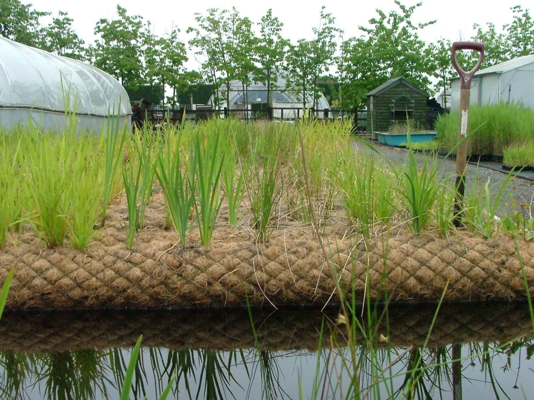 Agribusiness