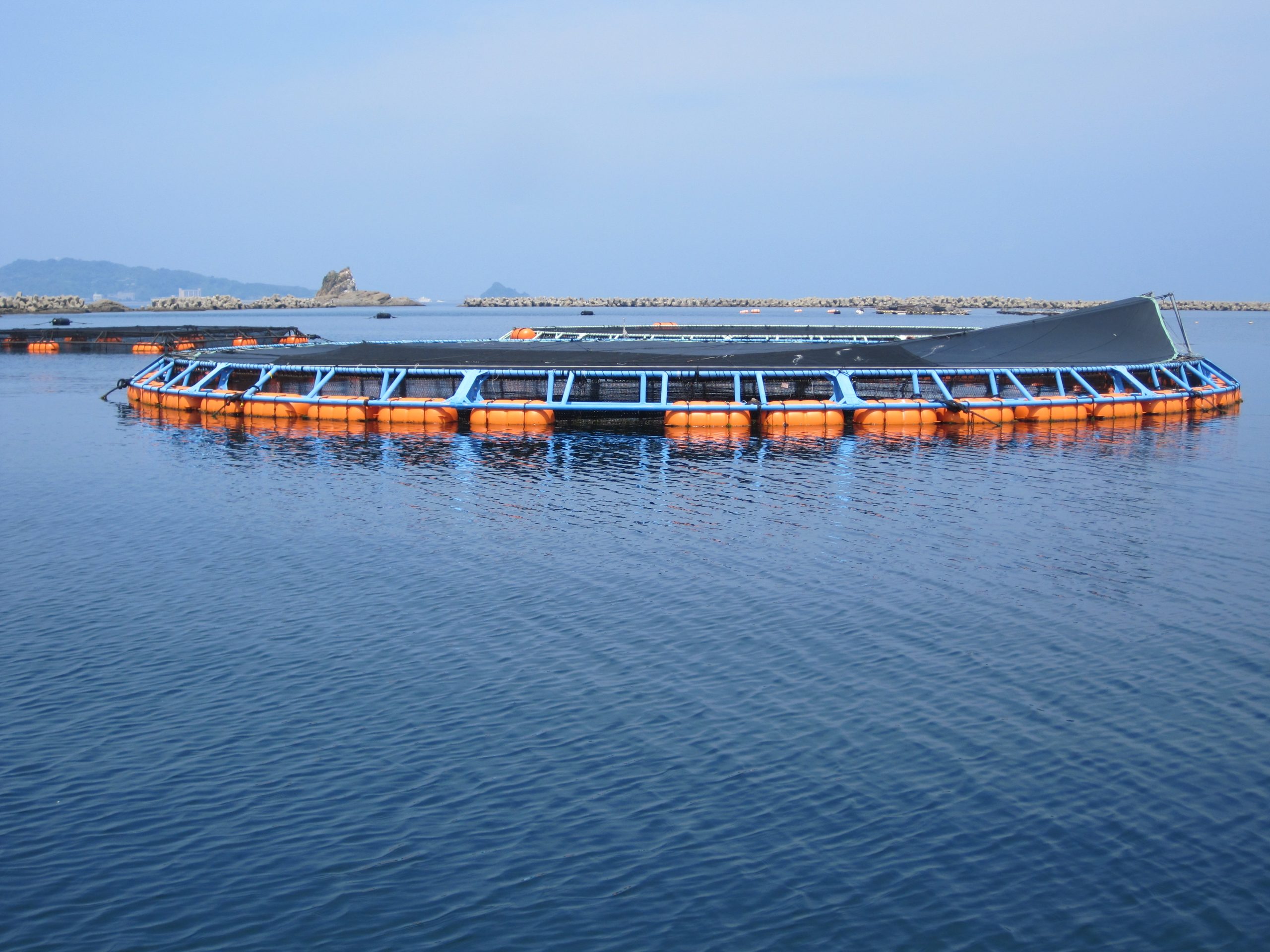Aquaculture Nets / Cages