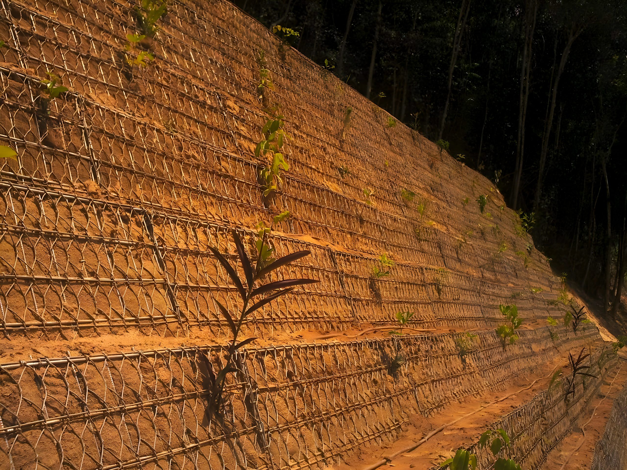 Slope Stabilisation and Green Wall Solution at Kuranda Range, Queensland Slope Stabilisation and Green Wall Solution at Kuranda Range, Queensland