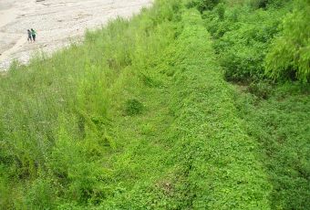 RIO CHIJRA – PT