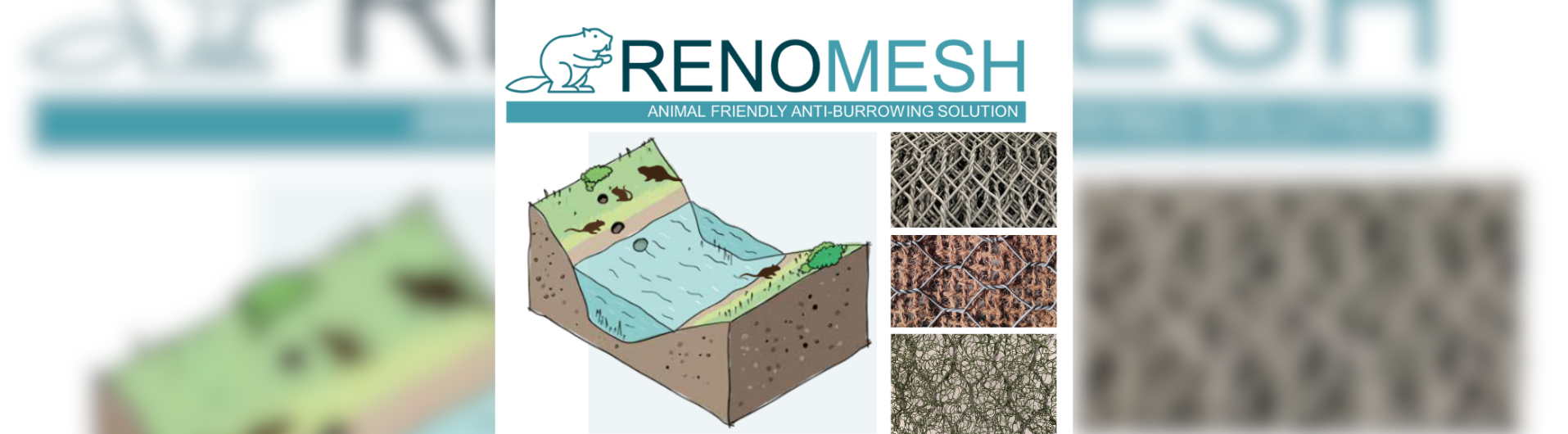 Gamme RenoMesh : solutions de protection contre les anti-fouisseurs 