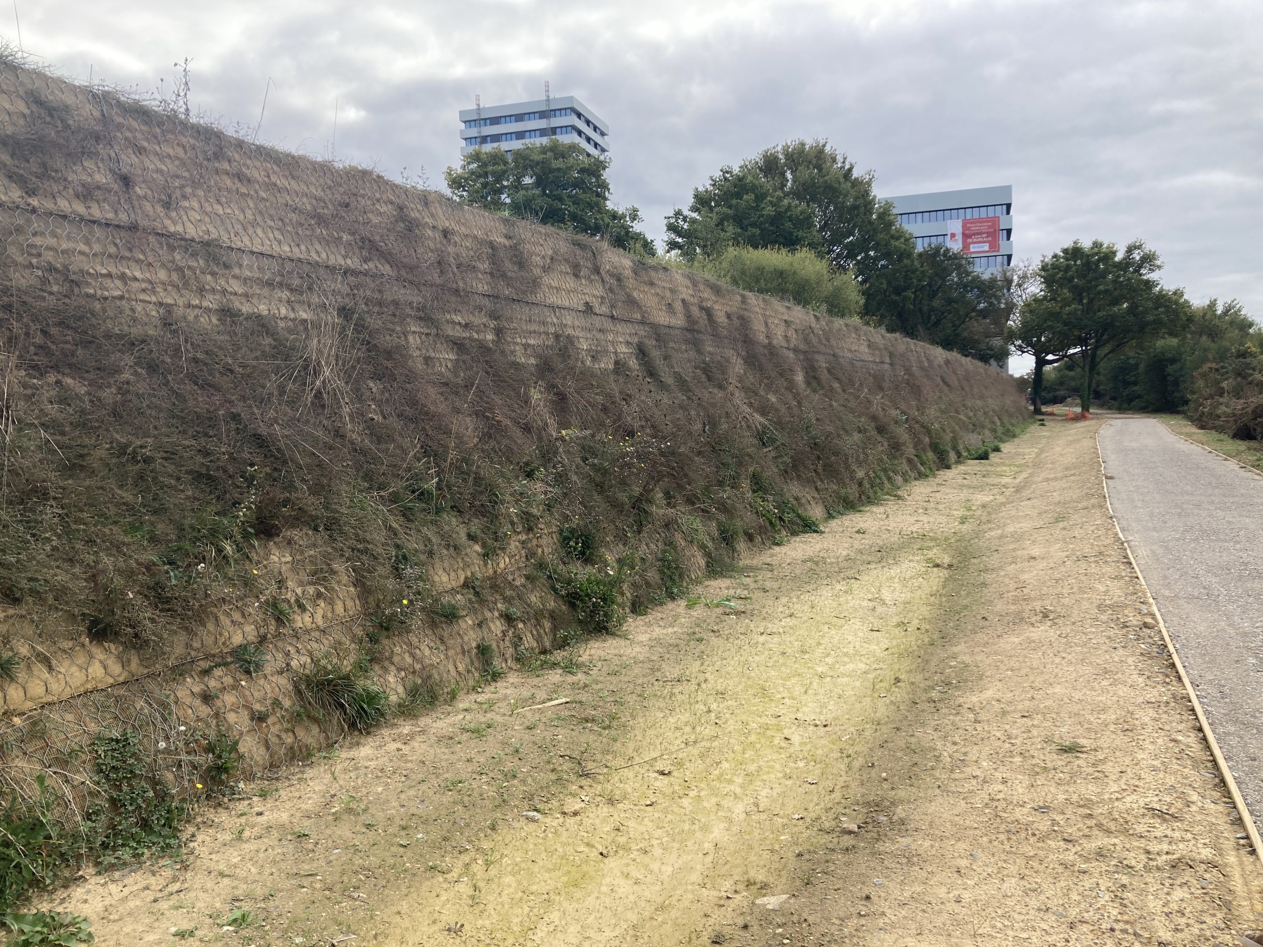 ZAC La Courrouze – Secteur Parc Domino Nord – Rennes Métropole, 35