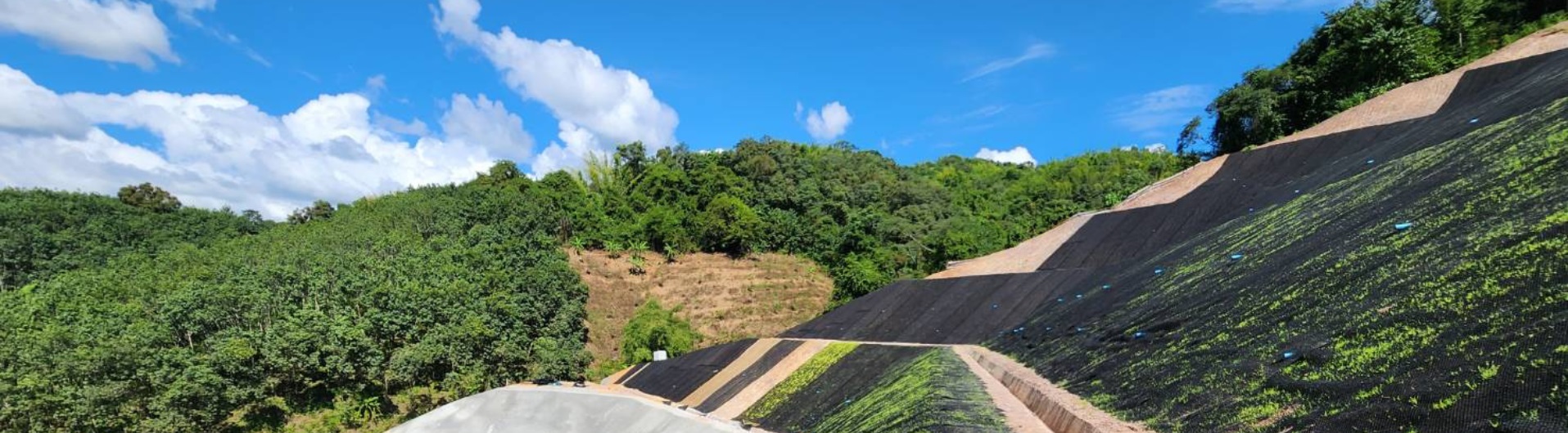 ECoMac Design: The Software for Erosion Control
