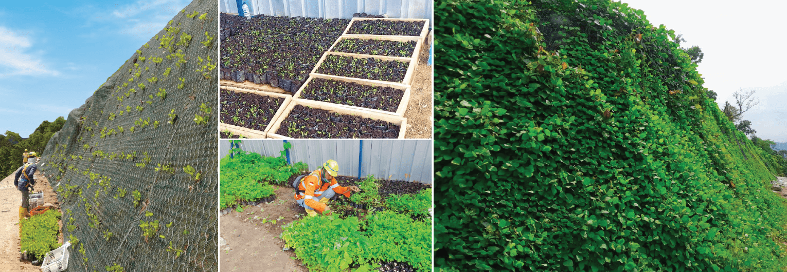 Erosion Control System Using the Polybag Method at the Tiu Suntuk Dam, Sumbawa