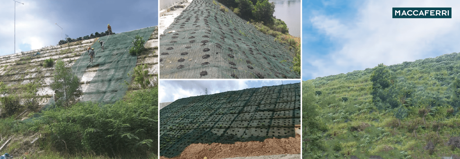 Environmentally Friendly Erosion Control with Vegetation at Balang Island Bridge, East Kalimantan