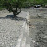 WAY ARA RIVER BANK PROTECTION