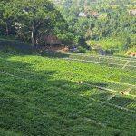 COMBINATION OF MSE WALL & EROSION CONTROL FOR LANDSLIDE MANAGEMENT