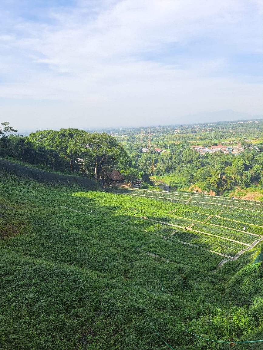 Working with the Earth: Greener Solutions for Tomorrow with Maccaferri
