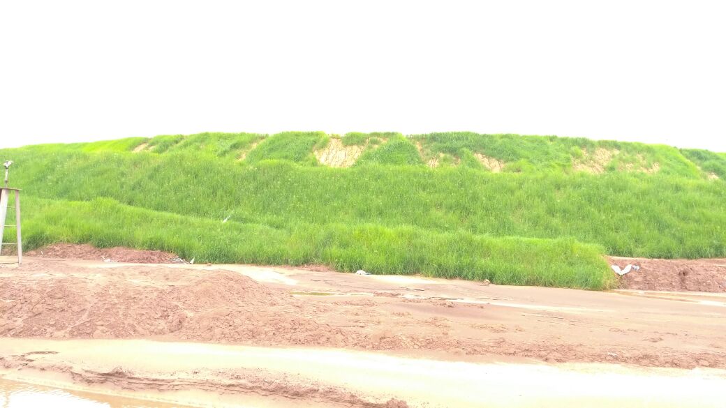 Erosion Control Measures at Hindalco’s Mine, Muri, Jharkhand