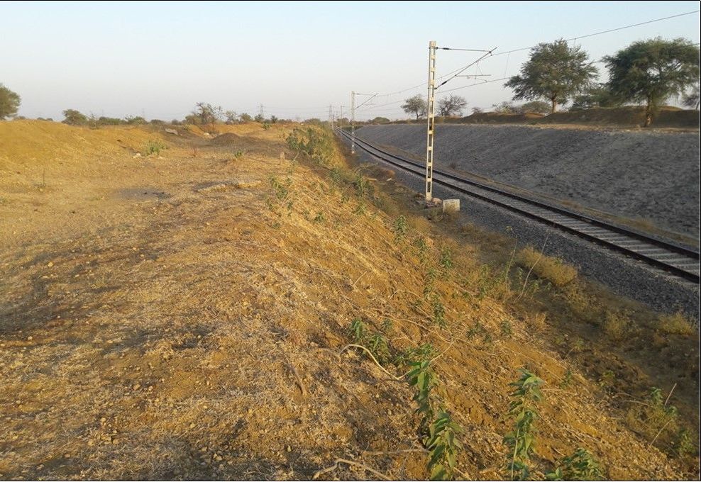EROSION CONTROL TRIALS DONE ON RAILWAY EMBANKMENT, CHATTISGARH