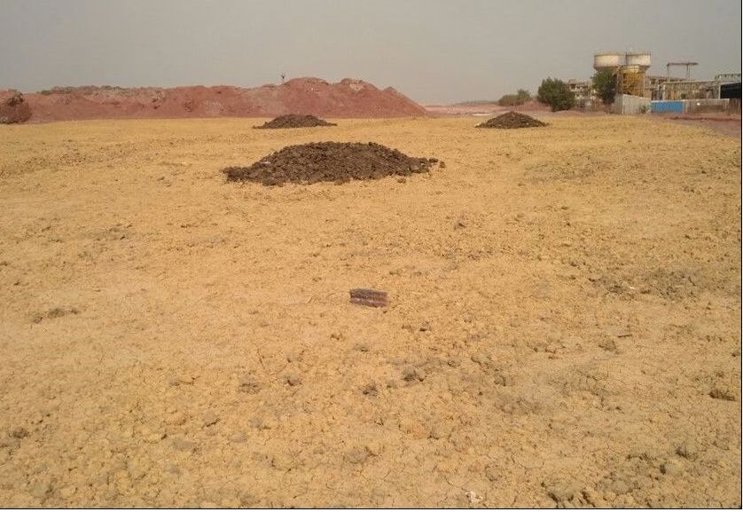EROSION CONTROL MEASURES TRIAL AT HINDALCO’S RENUKOOT PLANT