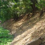 RIVER BANK PROTECTION FOR MULA RIVER AT SANGAM BRIDGE