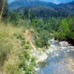 GABION WALLS FOR TRIVANDRUM-PONMUDI ROAD