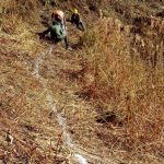 AVALANCHE MITIGATION FOR MSP 12 (R) NEAR ROHTANG TUNNEL