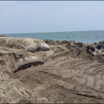 PROTECTION FROM SEA EROSION USING GEOTEXTILE TUBE IN AMBALAPUZHA