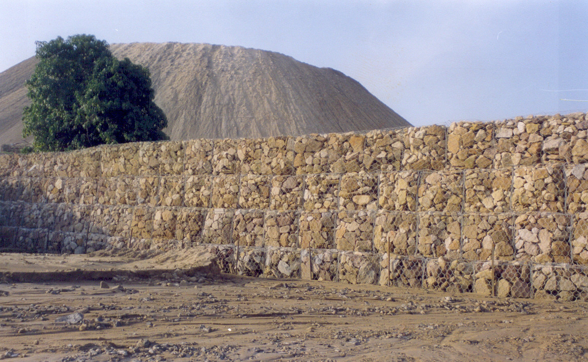 Stabilisation of Overburden Dump at Singrauli Mines, Madhya Pradesh