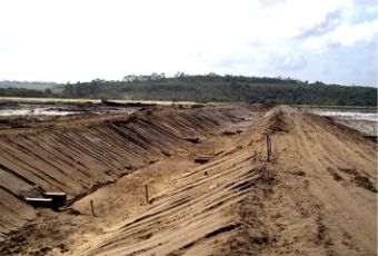 PESQUERA CORDONE