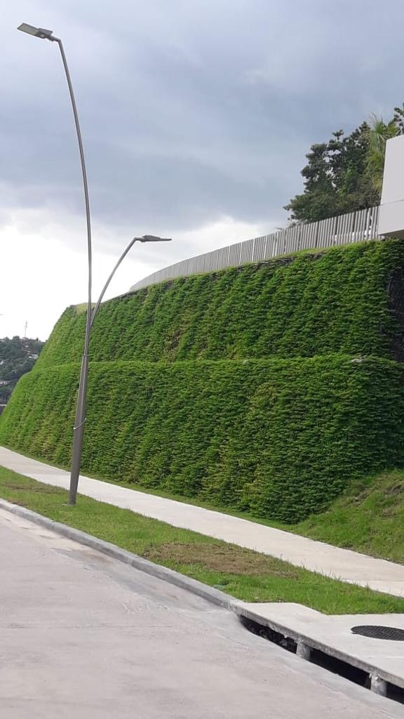 TerraMesh Verde de Maccaferri como solución para MME en Panamá