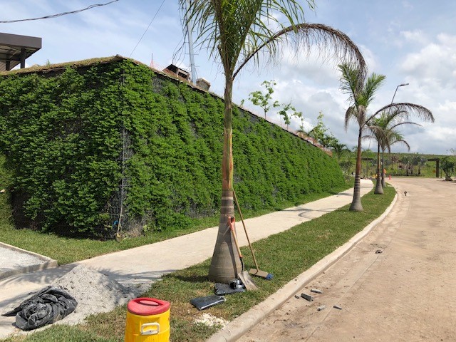 Uso de TerraMesh Verde en Panamá