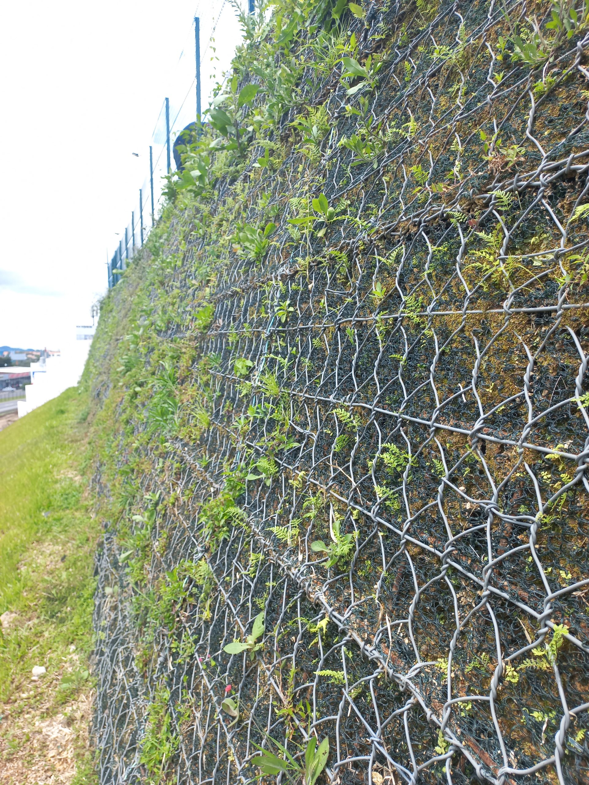 Beneficios de TerraMesh® Verde PoliMac®