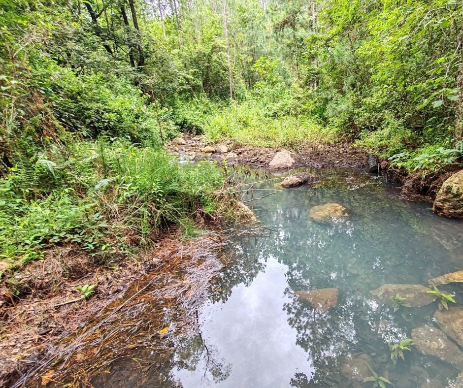 Proyecto de intervención con gaviones en El Molino Valle de Ángeles Honduras