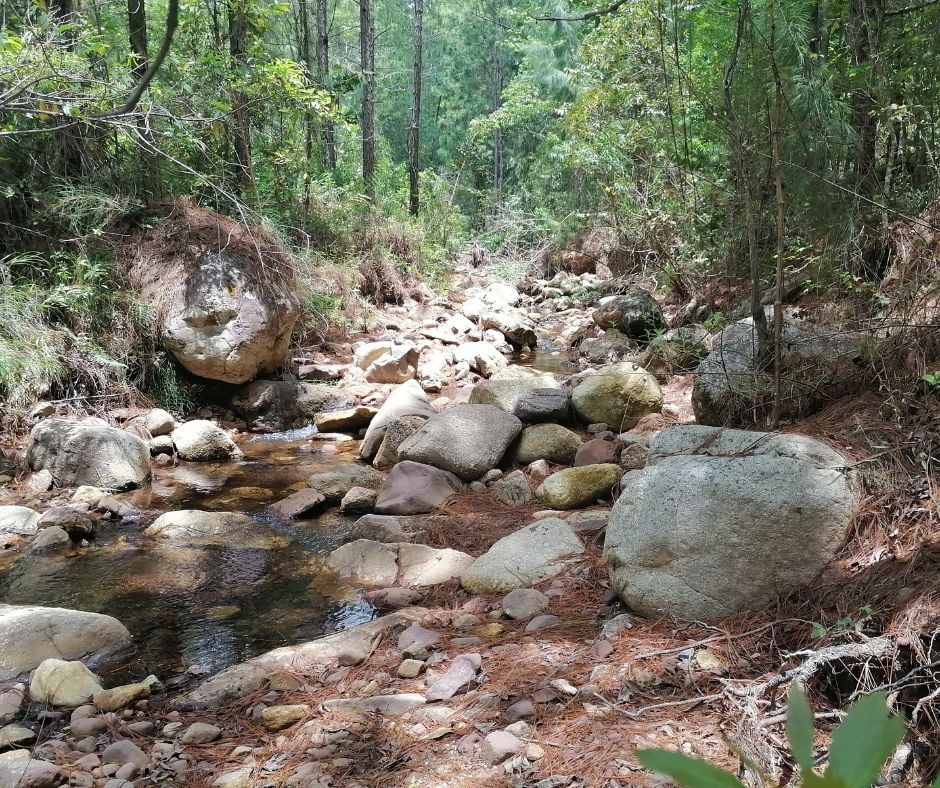 Proyecto hidráulico con gaviones en el molino honduras