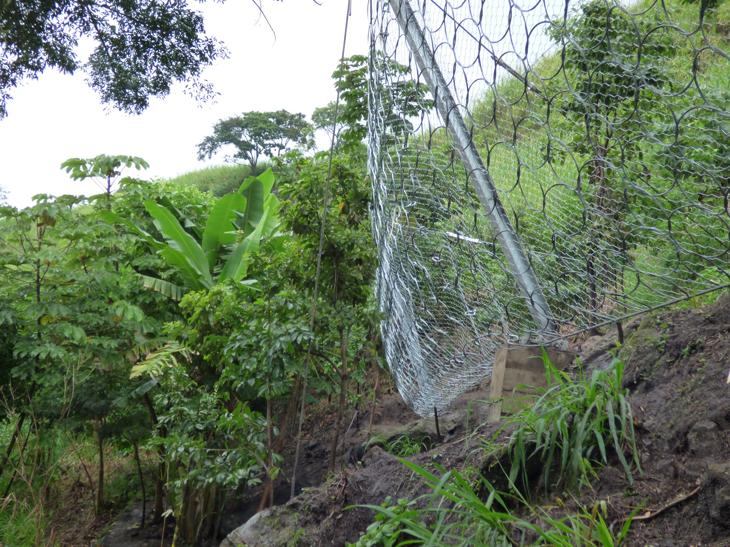 Barreras dinámicas en Costa Rica