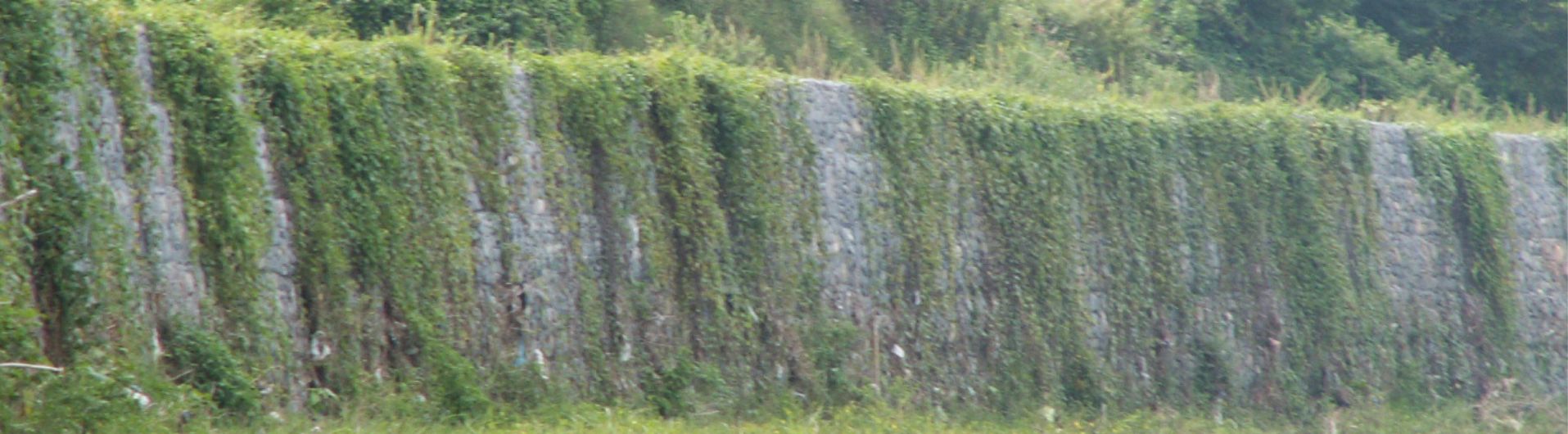 Mitigación de riesgos con muro de contención por gravedad en República Dominicana 