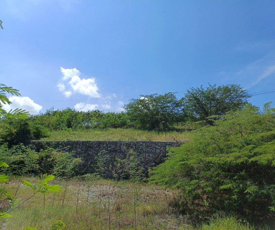 Muro en suelo reforzado con geomallas y gaviones
