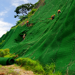 Usos de las Geomantas