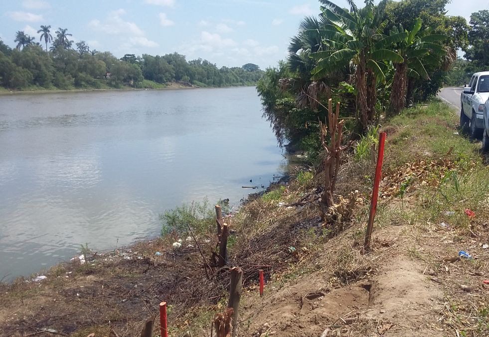 ESTABILIZACIÓN DE LA MARGEN DERECHA RÍO GRIJALVA