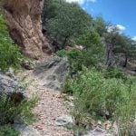 PRESA FILTRANTE EN EJIDO SIERRA AZUL