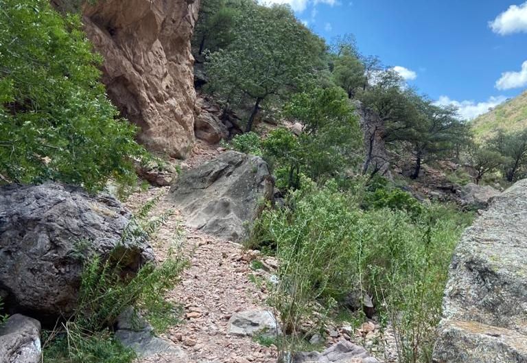 PRESA FILTRANTE EN EJIDO SIERRA AZUL