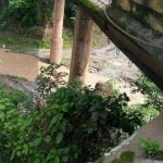 PROTECCIÓN PARA PILA PUENTE SAN MARCOS