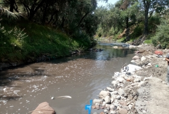 PROTECCION MARGINAL RIO ALSESECA