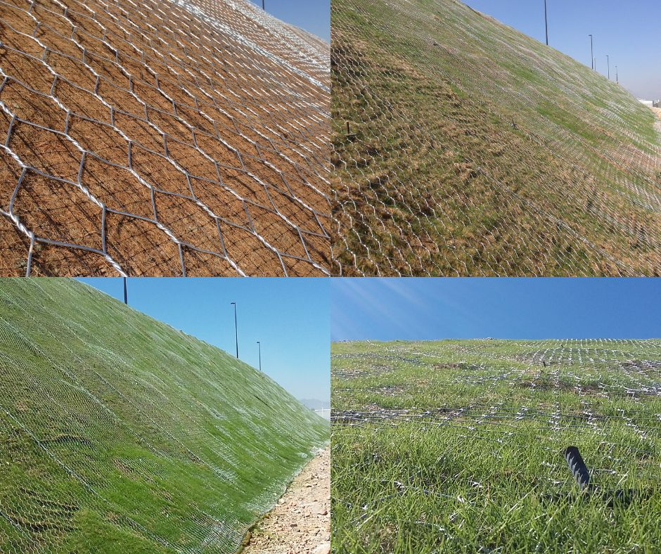 Revegetación de talud con geomanta