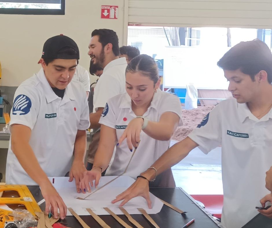 Construcción de modelo de muro mecánicamente estabilizado_8