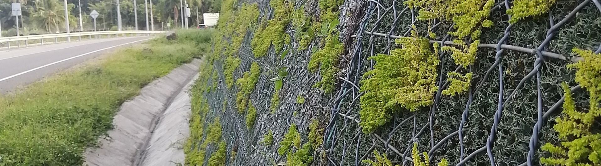 ¿Cuál es la diferencia entre una malla de doble torsión y una malla electrosoldada? 