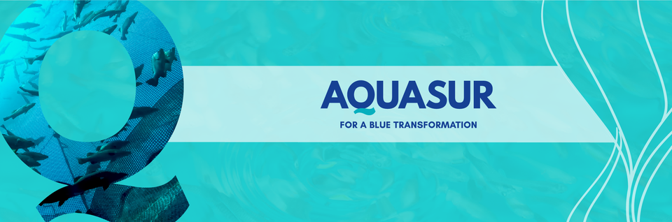 Aquasur 2024 Exhibition