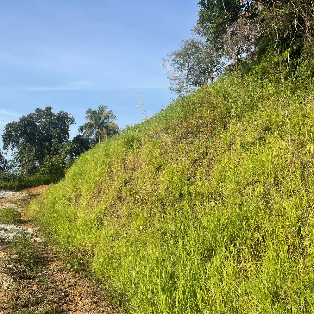 Strengthening Foundations: Sustainable Slope Protection for the New Istana Negara