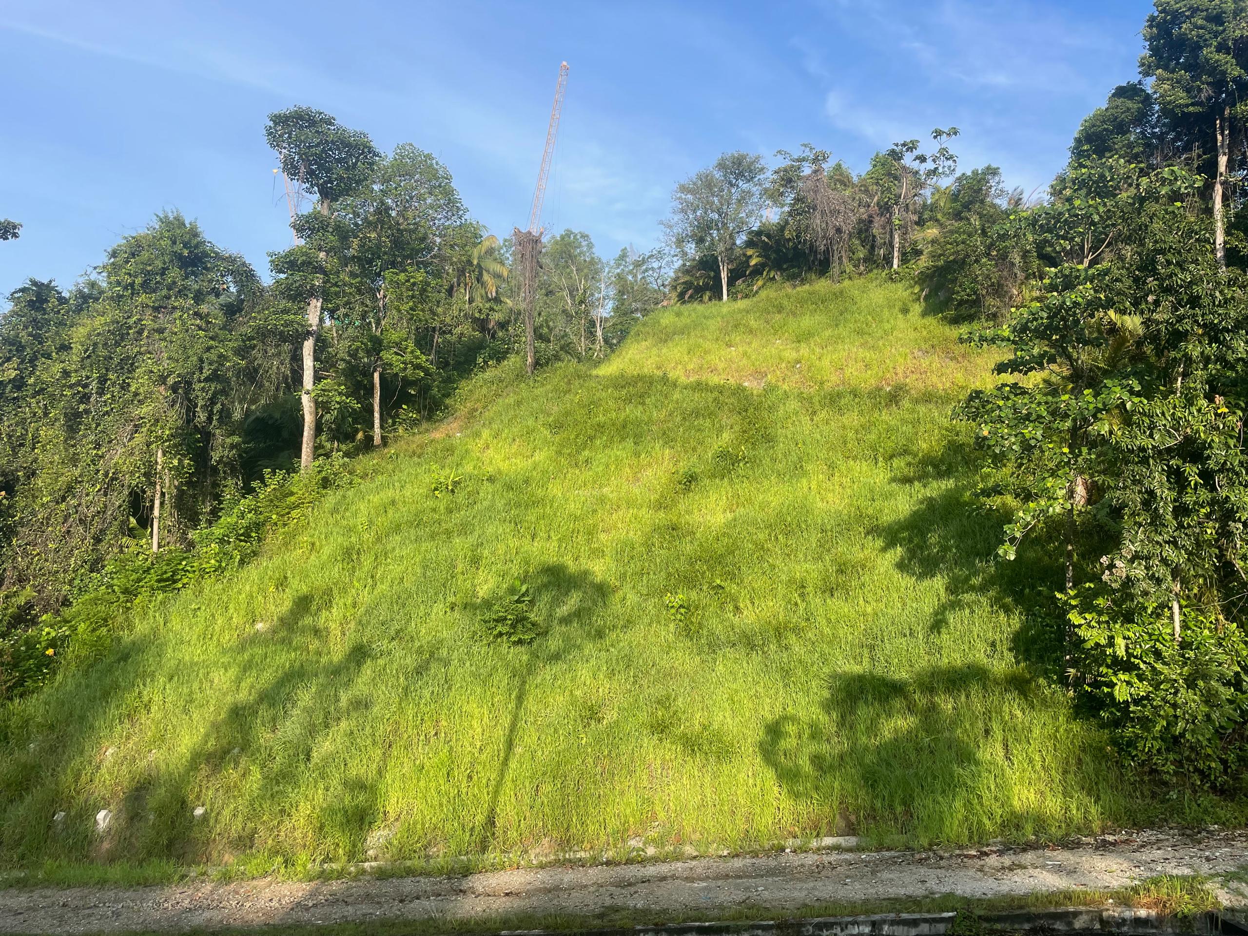 Green Solution for Slope Protection
