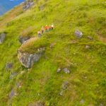 PROTECCIÓN Y SOSTENIMIENTO DE ROCAS COLCABAMBA