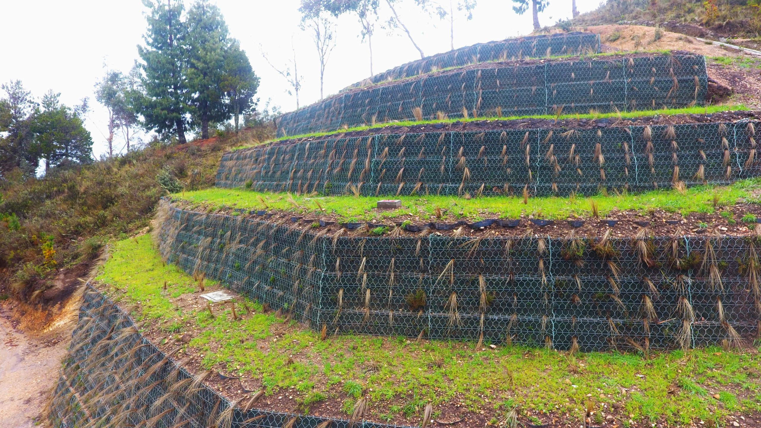 SUELO REFORZADO-PROYECTO MICHIQUILLAY