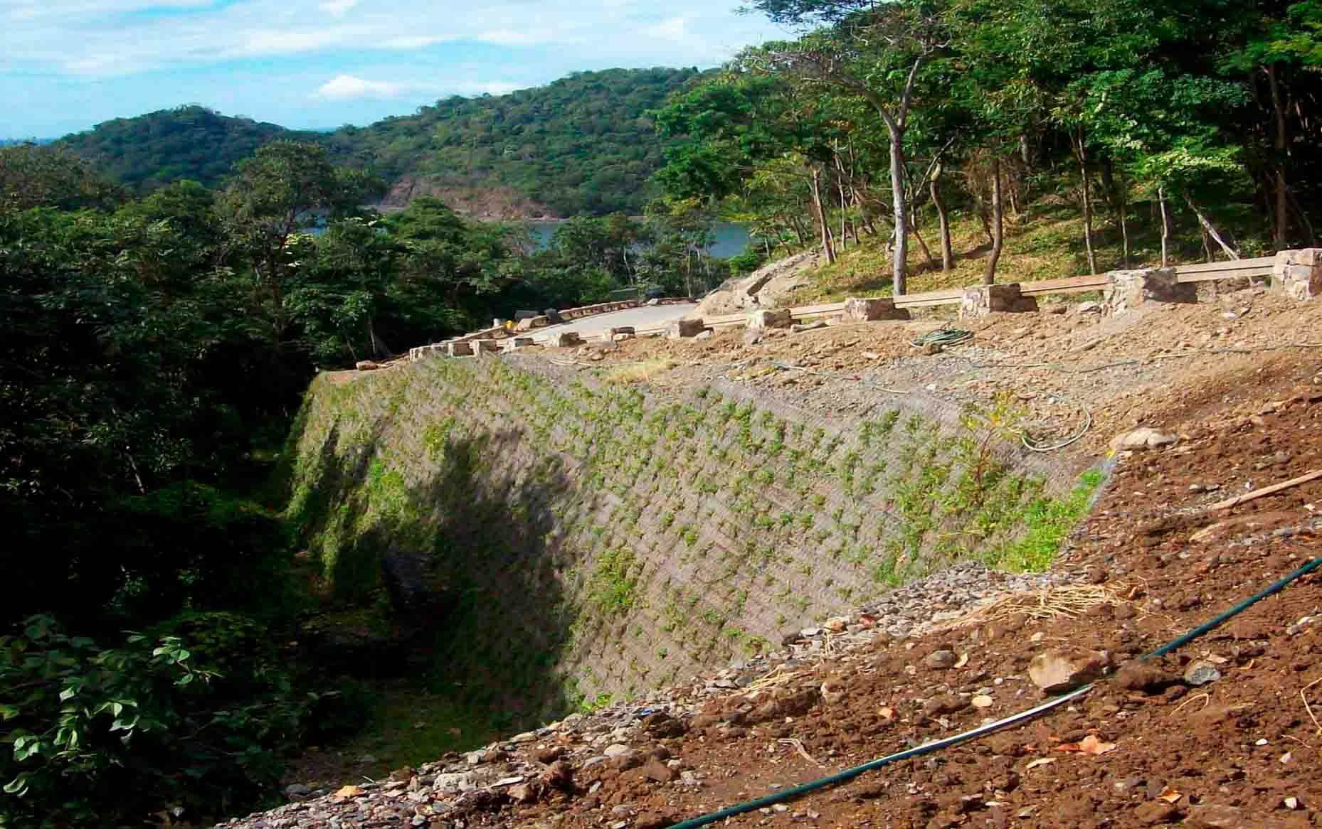 Bioingeniería para estabilización de taludes: soluciones sostenibles en proyectos de ingeniería