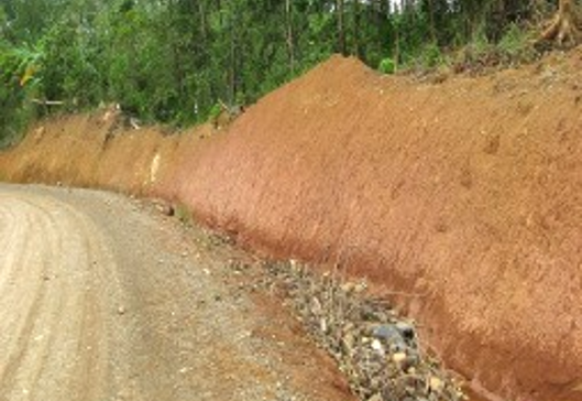 DIDIPIO MINE ACCESS ROAD PHASE I