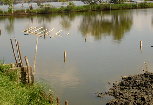 CAMANAVA FLOOD WALL