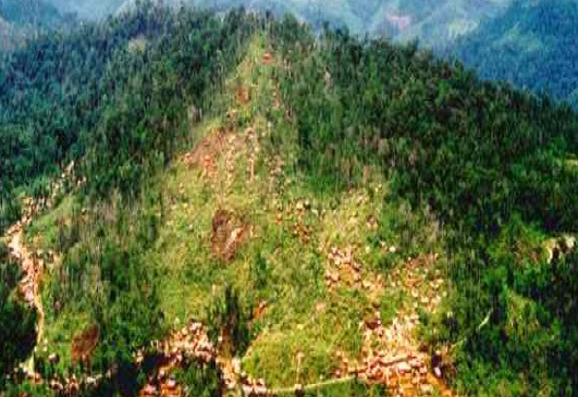 TVIRD CANATUAN MINE