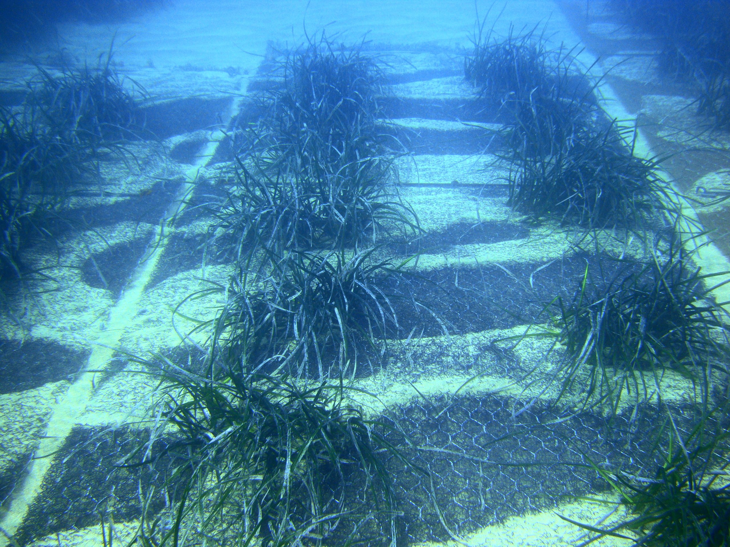 Maccaferri Philippines Joins the Ocean Summit in Coron, Palawan: A Commitment to Marine Conservation